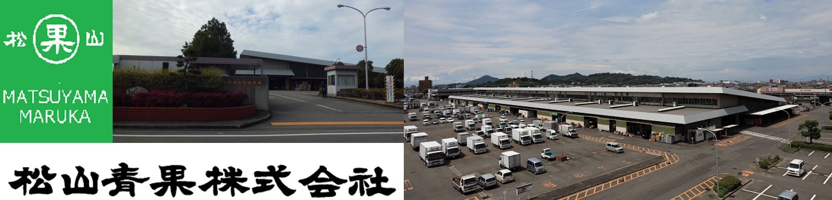 松山青果株式会社